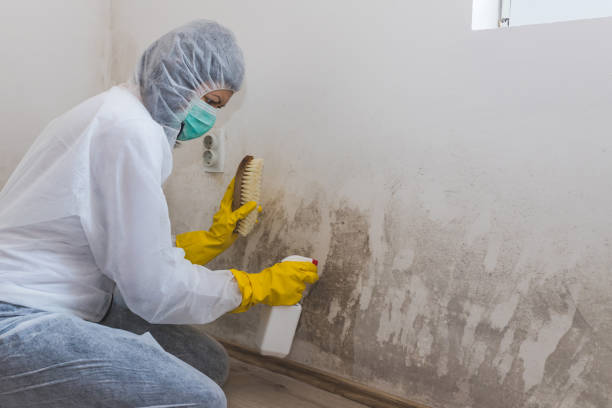 Best Bathroom Mold Remediation in Sinton, TX