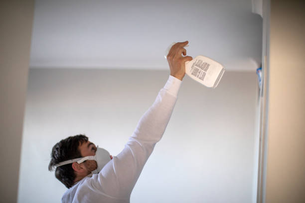 Reliable Sinton, TX Mold Remediation Solutions