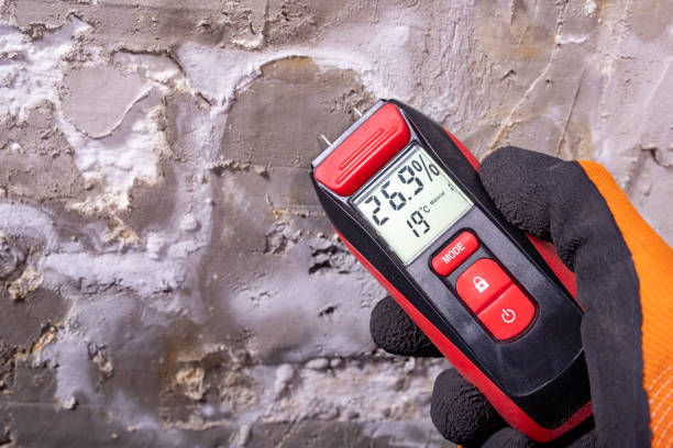 Best Post-Remediation Services in Sinton, TX