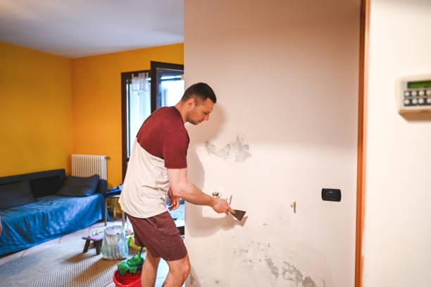 Best Residential Mold Remediation in Sinton, TX