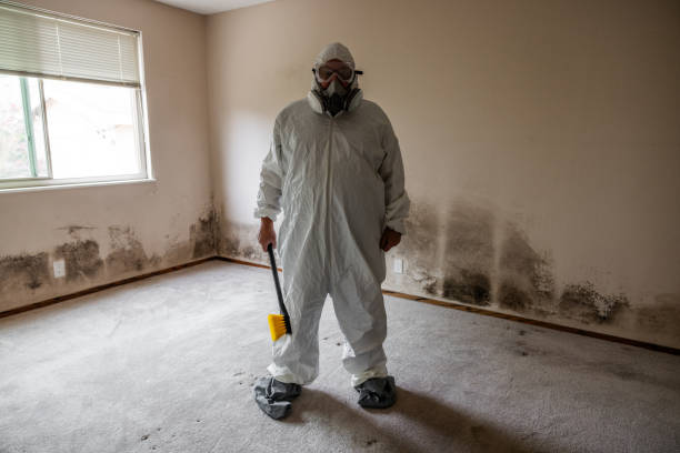 Best Bathroom Mold Remediation in Sinton, TX